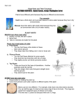 Plant Parts and Their Functions