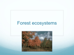 Forest ecosystems - geo