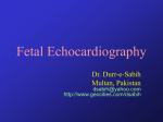 Fetal Echocardiography