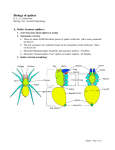 Biology of spiders