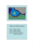 GABA and GABA receptors