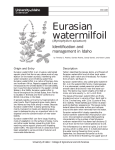 Eurasian watermilfoil - College of Agricultural and Life Sciences