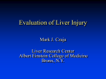 Liver Function Tests (LFTs)