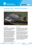 Primefact 9: Macquarie Perch, Third Editon