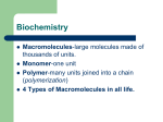 Chapter_2-Organic_Chemistry_Biology