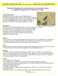 EASTERN MEADOWLARK - Greene Land Trust