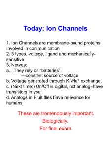 FA15 Lec23 Ion Channel