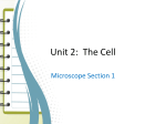 Unit 2: The Cell - Mrs. Hale`s Science