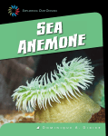 Sea Anemone - bowlerschool.net