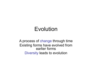 Evolution1