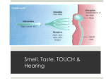 Smell, Taste, Pain, Hearing and Psychophysics