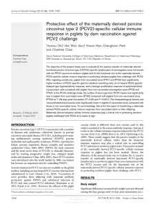 Protective effect of the maternally derived porcine circovirus type 2