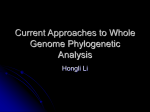 Current Approaches to Whole Genome Phylogenetic Analysis