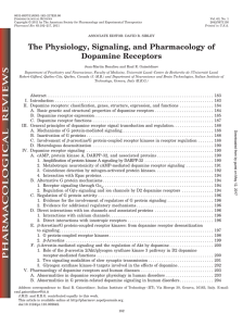 The Physiology, Signaling, and Pharmacology of Dopamine Receptors