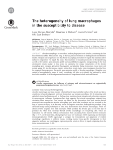 The heterogeneity of lung macrophages in the susceptibility to disease