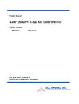 NADP+/NADPH Assay Kit (Colorimetric)