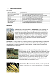 Other Foliar Diseases