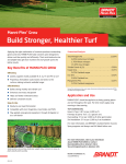 Build Stronger, Healthier Turf