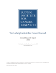 Research Report - Brussels Branch