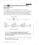 chapter the nervous system and the effects of drugs