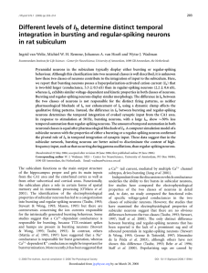 Different levels of Ih determine distinct temporal integration in