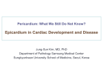 Epicardium in Cardiac Development and Disease