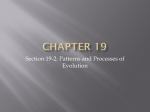 Chapter 19