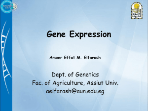 4 Gene expression