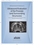 Ultrasound Evaluation of the Prostate (and Surrounding Structures)