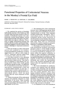 Functional Properties of Corticotectal Neurons in the Monkey`s