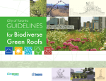 City of Toronto guidelines for Biodiverse Green Roofs