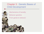 Chapter 3: Genetic Bases of Child Development
