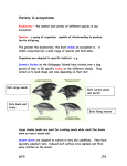 Variety in ecosystems - Grange Academy