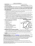 ROCKS AND MINERALS 1. DESCRIPTION: Teams will demonstrate