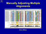 What is a Multiple Alignment?