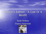 Oregon`s Salmon : A Cost Or A Benifit