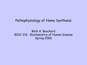 Pathophysiology of Heme Synthesis