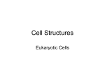 Cell Structures