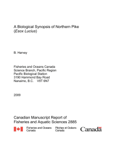 A biological synopsis of northern pike (Esox lucius)