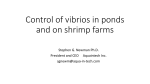 Control of vibrios in ponds and on shrimp farms
