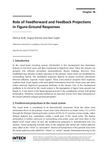 Role of Feedforward and Feedback Projections in Figure