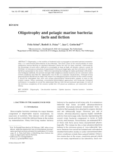 Oligotrophy and pelagic marine bacteria: facts and