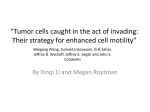 Tumor cells caught in the act of invading: Their