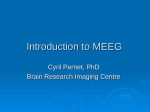 Introduction to electrophysiological recordings