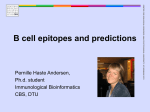 Prediction of B cell epitopes