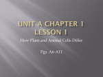 Unit A Chapter 1 Lesson 1
