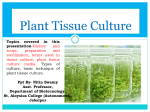 Plant-Tissue-Culture