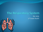 The Respiratory System - Hatboro