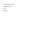 Cell analogies booklet Amanda Nyuma P.d 3 Biology Plant cell