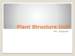 Plant and Animal Structure Unit